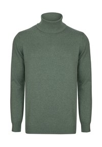 Grüner Rollkragenpullover aus weichem Strickmaterial. Verfügt über einen gerippten Kragen und Bündchen, mit glatter Textur und klassischem Schnitt.