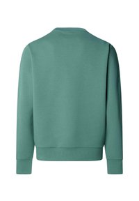 Effen groene crewneck trui gezien vanaf de achterkant met lange mouwen en geribbelde manchetten en zoom.