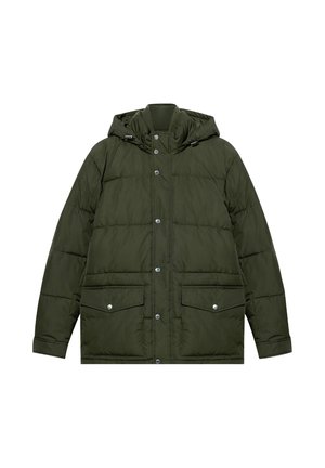PUFFER - Winterjacke - green
