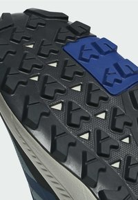 Adidas Terrex ANYLANDER - Obuća za penjanje - magic grey steel semi lucid blue