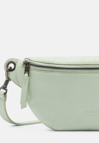 Lichtgroene leren tas met een afgeronde vorm, voorzien van een ritssluiting en zilverkleurige hardware accenten. Subtiele merkembossing zichtbaar.