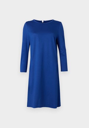 Blaues, langärmliges Kleid mit rundem Ausschnitt und Reißverschluss im Rücken. Glatte Textur, lockere Passform, fällt knapp über die Knie, ohne sichtbare Muster oder Akzente.