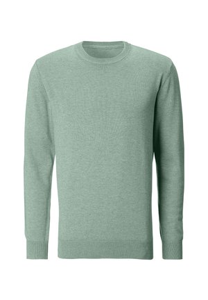 Hellgrüner langärmliger Pullover aus weichem Stoff mit Rundhalsausschnitt, gerippten Bündchen und Saum sowie glatter Textur. Keine Muster oder Akzente.