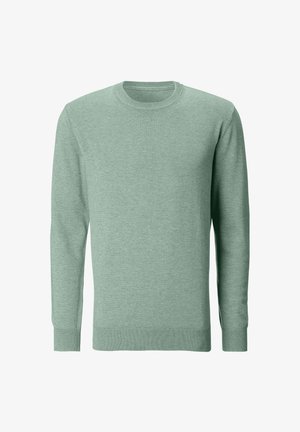 Hellgrüner langärmliger Pullover aus weichem Stoff mit Rundhalsausschnitt, gerippten Bündchen und Saum sowie glatter Textur. Keine Muster oder Akzente.