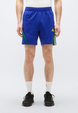 Blauwe sportbroek met groene accenten, elastische tailleband en een geel logo. Gemaakt van een gladde stof, tot halverwege de dij, met een functioneel ontwerp.