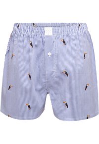 MG-1 6-PACK CLASSIC - Boxer  - mottled light blue