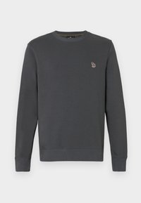 REG FIT ZEBRA - Športni pulover - slate