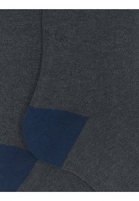 Gallo Calze - sasso lago