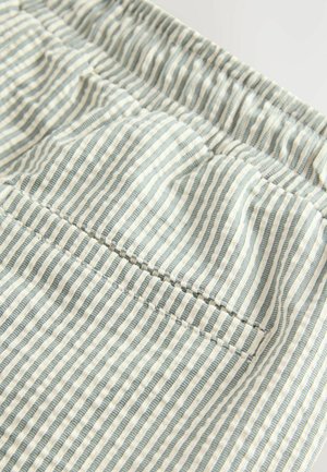 Next REGULAR FIT - Lühikesed püksid - sage