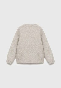 Hellgrau gestrickter Pullover mit runder Halsausschnitt, überschnittenen Schultern und gerippten Bündchen sowie Saum, der einen weichen, strukturierten Stoff zur Schau stellt.