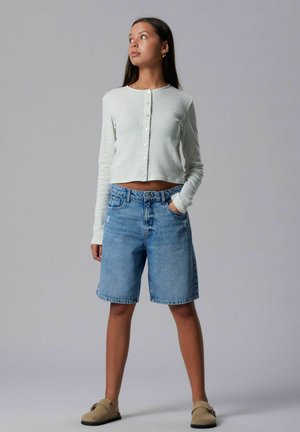 LMTD, CARDIGAN STRIPED - Cardigan - ice water