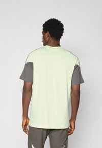 T-shirt à manches courtes avec un corps vert clair et des manches gris foncé, fabriqué en tissu doux avec une coupe décontractée et un col rond.