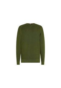 Grüner gestrickter Pullover mit einem strukturierten Muster, V-Ausschnitt, langen Ärmeln sowie gerippten Bündchen und Saum. Rückansicht ohne Logos oder Verzierungen.