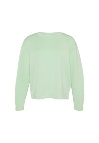 Mintgroene sweatshirt met lange mouwen, ronde halslijn, cropped zoom en een gladde, zachte textuur. Geen zichtbare patronen of hardware details.