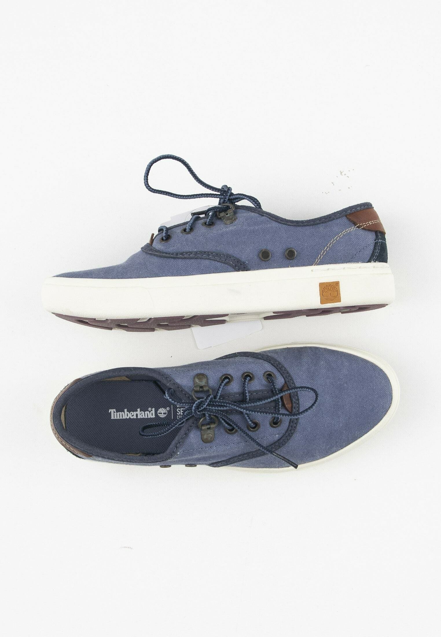 Timberland Sneakers laag - blue/Blauw - Zalando.be