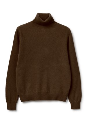 LONG SLEEVE  REGULAR FIT  - Trui - brown