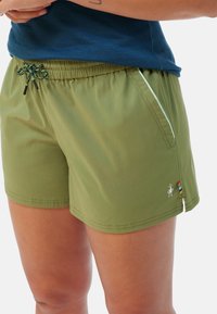 Gröna sportshorts gjorda av lättviktigt tyg, med elastisk midja och dragsko, sidofickor samt en liten logotyp och accentstrimmor.