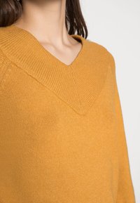 V-hals trui in mosterdgeel, gemaakt van zacht breiwerk. Heeft ribgebreide randen en een relaxed fit. Soepele textuur met minimale details.