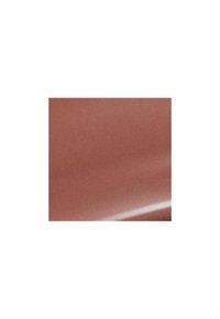 Danessa Myricks Beauty COLORFIX MATTES - Oogschaduw - chestnut