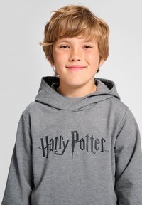 Grijze hoodie met de tekst "Harry Potter" in vetgedrukte zwarte letters. Zachte stof met een relaxed fit en een voorzak.