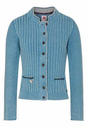 Light blue knitted cardigan featuring vertical stripes, brown buttons, round collar, two front pockets, and a small butterfly embellishment.