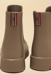 Pair of brown ankle boots with thick ridged soles and pull tabs featuring blue, red, white, and green stripes at the back.