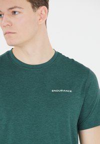 Endurance ABDON - Tekninen t-paita - sea moss