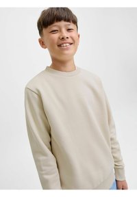 Sudadera de color crema con cuello redondo, puños y dobladillos acanalados. Marca discreta en el pecho. Textura suave y corte relajado.
