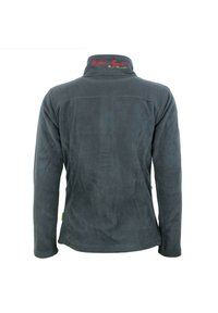 Peak Mountain ASAK - Veste polaire - gris