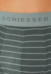 Mutande da uomo a righe verde scuro con strisce orizzontali grigio chiaro. Vita elastica con la scritta "SCHIESSER" stampata in grigio. Tessuto morbido e elastico.