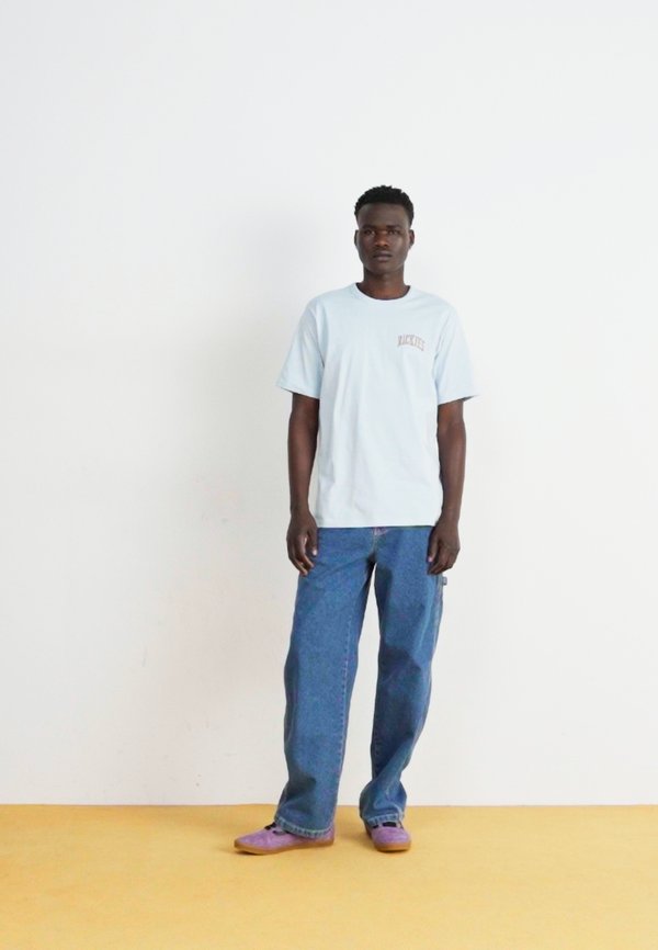 STEVENSVILLE CARPENTER - Carpenter Jeans2