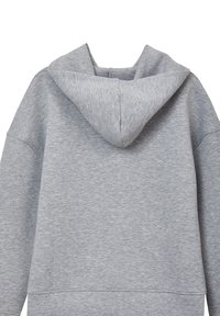 Calliope Felpa con cappuccio - gris
