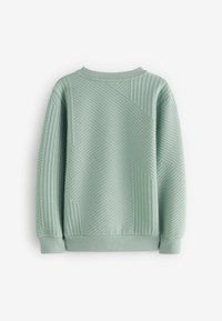 Baker by Ted Baker REGULAR FIT - Mikina - green