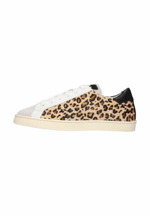 Trainers - leo