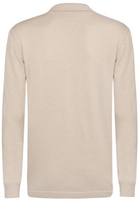Beige langärmliger Pullover mit Polokragen, aus weichem Strickmaterial, mit glatter Textur und gerippten Bündchen. Rückansicht dargestellt.