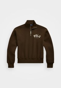 LOGO FLEECE QUARTER ZIP - Bluză de molton - court brown