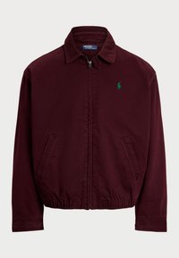WINDBREAKER - Summer jacket - harvard wine