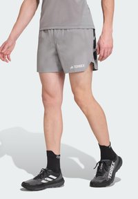 Gray athletic shorts with side slits, Terrex logo on the front, paired with black athletic shoes and socks. Lightweight, breathable material.
