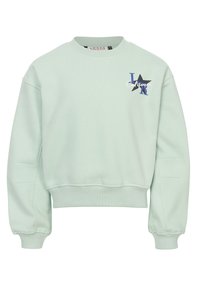 Niet geselecteerd, mint groen