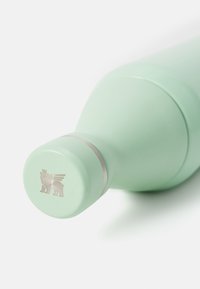 Mint green insulated bottle with a rounded body. Features a silver ring and a silver logo of a bear with wings on the cap.