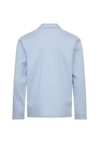 Lyseblå langærmet skjorte med fine hvide striber, spidse krave, knapmanchetter og en lige rygdesign. Glat stofstruktur.