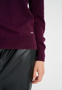InWear LUKKAIW CREW NECK - Jumper - brown bordeaux