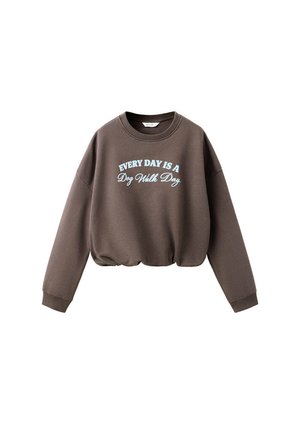 Sweat-shirt marron col rond avec manches longues et texte bleu clair indiquant "Every Day Is A Dog Walk Day" sur le devant.