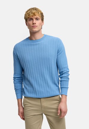 Ung mand iført en lyseblå ribstrikket sweater og beige bukser, stående mod en ensfarvet hvid baggrund.