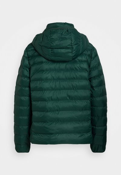 Groene pufferjack met een capuchon, voorzien van een gewatteerd ontwerp en glanzende textuur. Het heeft lange mouwen en een rechte zoom op de taille.