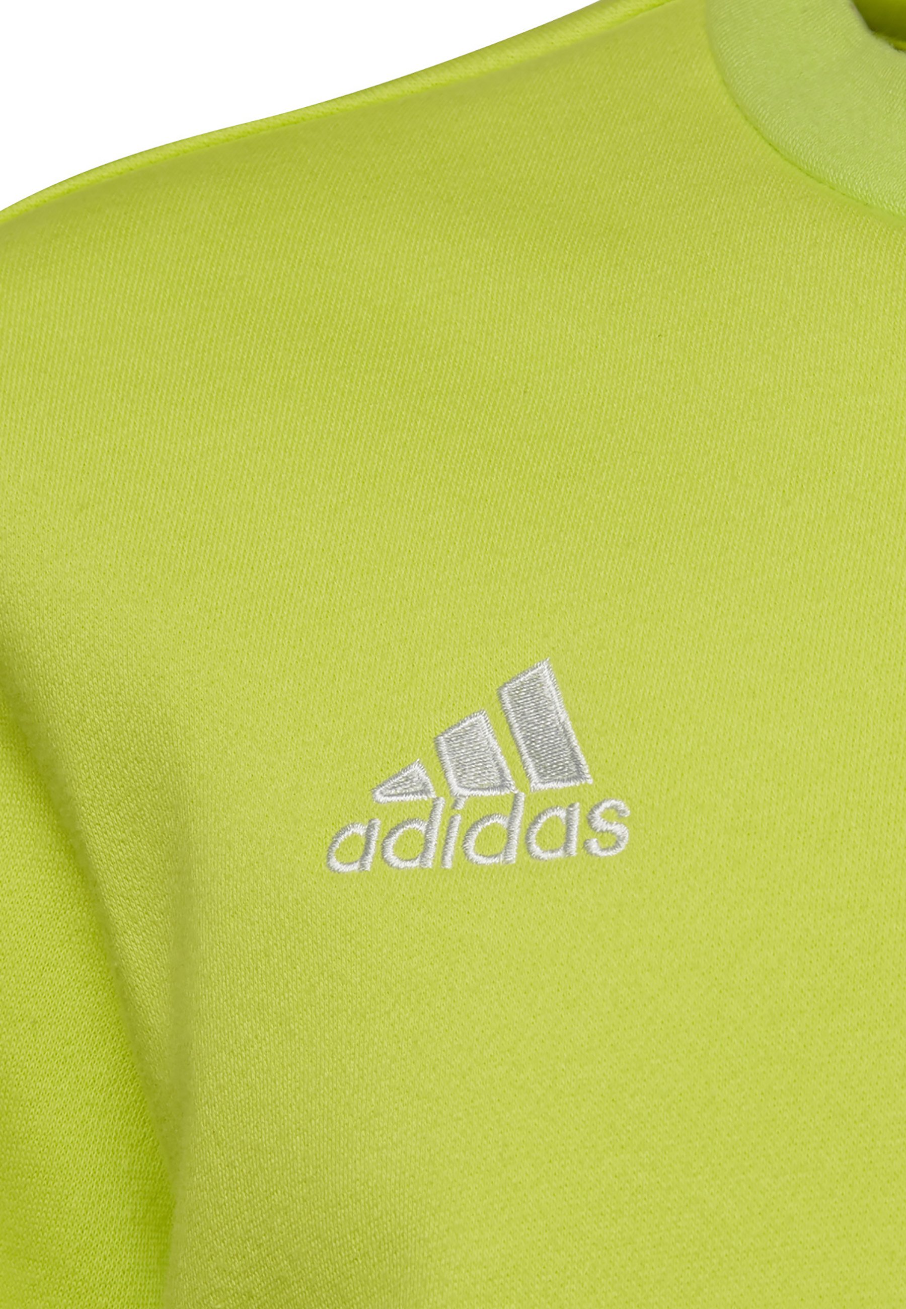adidas Performance FUSSBALL TEAMSPORT ENTR Sweatshirt adidas Performance FUSSBALL TEAMSPORT ENTR Sweatshirt