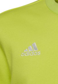 adidas Performance FUSSBALL TEAMSPORT ENTR - Felpa - gruen