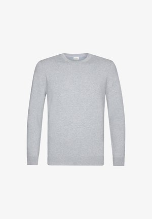 Hellgrauer Wollpullover mit Rundhalsausschnitt, langen Ärmeln sowie Rippbündchen und -säumen. Glatte Textur, einfaches Design und keine Muster oder Akzente.