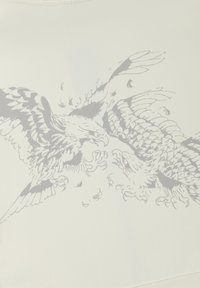 Deux aigles détaillés aux ailes déployées se font face en plein vol, les serres étendues, entourés de plumes éparpillées sur un fond clair.