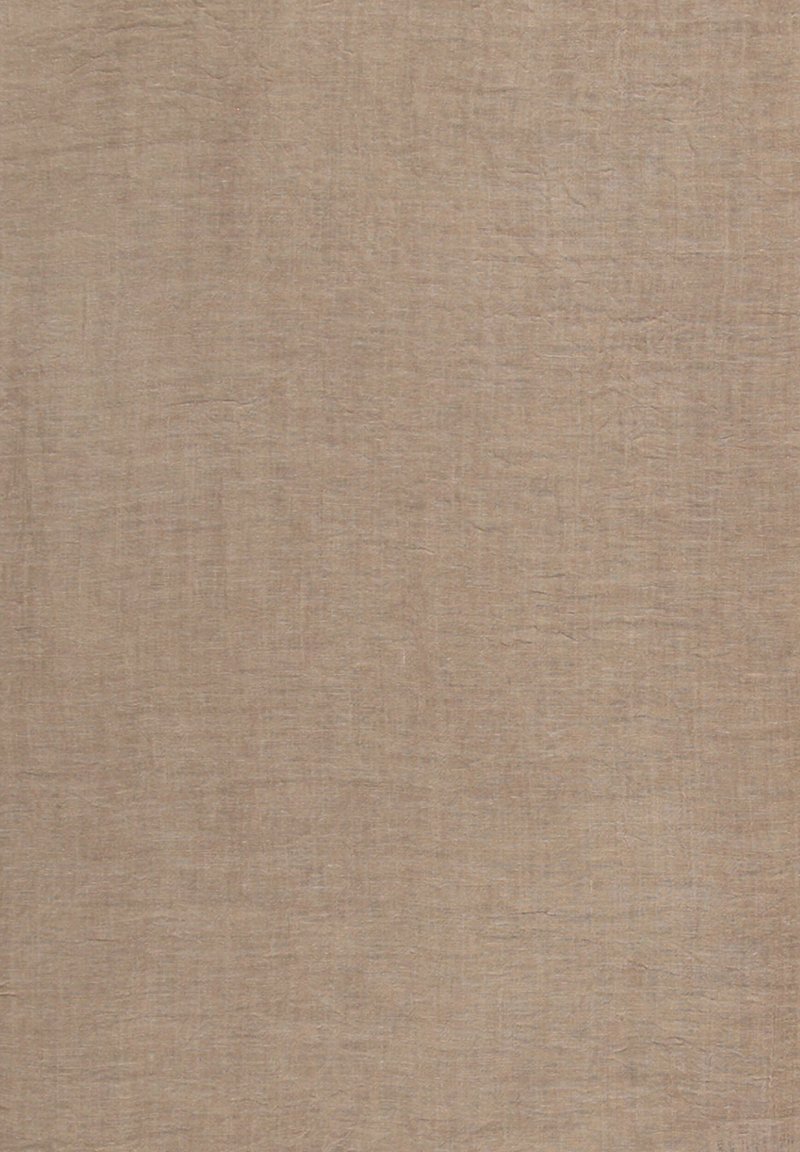 Damen Schals | FRAAS STOLA Schal camel - BB74803 Damen Schals | FRAAS STOLA Schal camel - BB74803